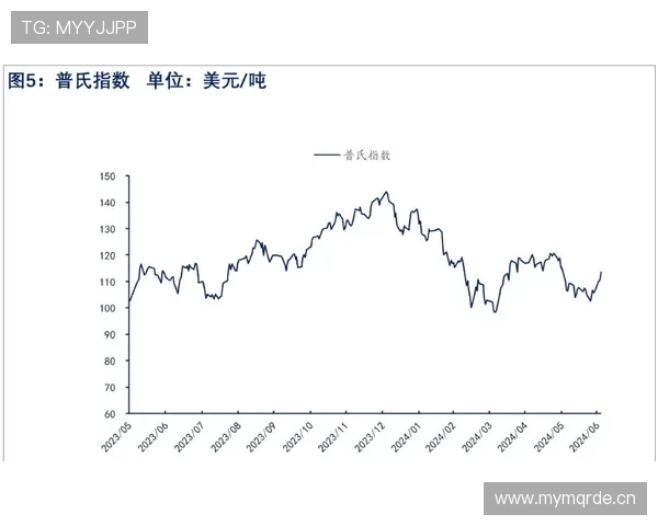 恩佐亿元身价是否合理：战术价值与市场溢价分析