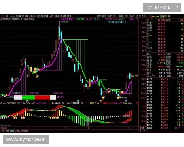 山东泰山主力框架稳定，替补深度能否支撑多线作战？