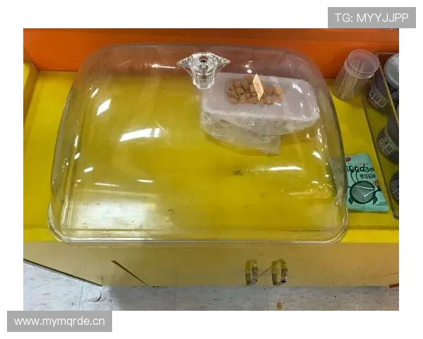 昌雅妮穿拖鞋去机场，旁边行李箱的价签把我咖啡都差点喷脸上